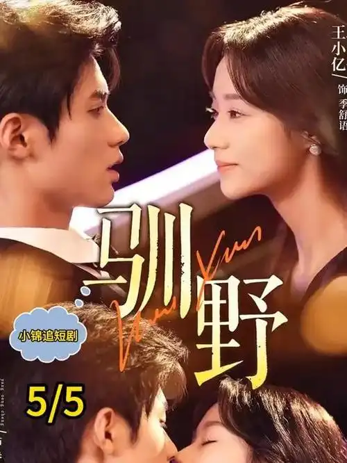 寂静证词 律政悬疑剧全集免费观看